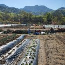 장암농장 이미지