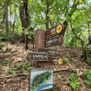 늘봄봄봄 | (2024.8.11.일)도윤대장 산행공지100회 기념 아차산&시루봉 축하산행...이커지기대장