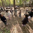 10월 4주 펑펑! 낙엽 폭죽놀이 &amp; 낙엽 공놀이🍂🎉 이미지