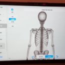 내안에 힐링스파 이미지