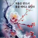 바람소리 이미지