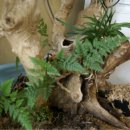 천지가든 이미지