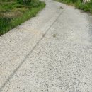 김성남 농장 이미지