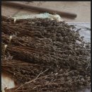 다은네일 이미지