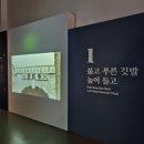 대한민국역사박물관 이미지