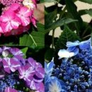 달나무농장 이미지