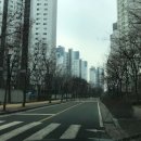 슈르+ 동물병원 이미지