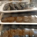 232 | 남양주떡맛집 별내떡집 쫀득쫄깃한 맛있는 떡집