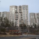 힐스테이트강남공인중개사사무소 이미지