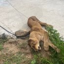 이창재농장 이미지