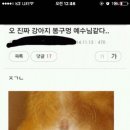 푸른누리