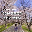 원리 농구장 | 2026 세종 조치원 봄꽃축제 장소 조천변 벚꽃길