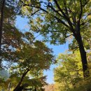 NR-36[불영계곡로]-상-90 | 울진 불영사 단풍. 불영사 계곡 소요시간 불영사 맛집 울진 사랑바위