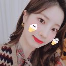 노란병아리 이미지