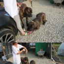 안녕하세요 이미지