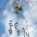 망원2동 주민센터 이미지