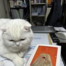 박시홍ELA