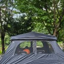 단양남천계곡물가 이미지