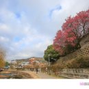 사운즈옥천