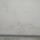 마포세무서화장실 이미지