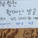 팔도낙지촌 | 울산 장생포 팔도낙지촌 내돈내산 후기 고래박물관 근처 아이와 식사하기 좋은 가성비 식당