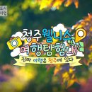 웰리스 이미지
