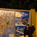 수 게스트하우스 이미지