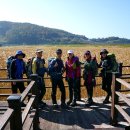 세포삼거리 이미지