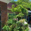 만포가든 이미지