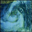 제8호태풍"모라꼿"2009년8월8일16시현제(이동경로및 위성영상자료) 이미지