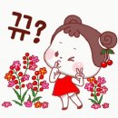 다미장어 이미지