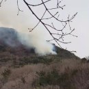 초읍동-18 이미지