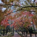 자매공원 이미지