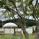 선창길 | 대부도 감성 오션뷰카페 후아후아 내돈내산 찐 후기