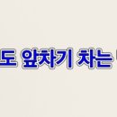 용인대 강 태권도 이미지