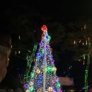 유구마곡사로 이미지