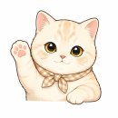 길고양이 TNR 지원 후기, 엄마의 고구마밭 길고양이 중성화 수술한 날 🐱🍠 N번째 출산?오수의과동물병원