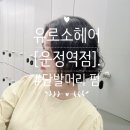 더 샾 월드 태권도장 | 유로소헤어운정역점 안유리디자이너 단발펌 후기 (25주 임산부의 찐행복♡‍)