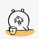 동해안 붉은 대게 이미지