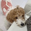 메디칼베드마트 | 제천 속눈썹 잘하는 곳 빛날율