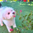 니멍내멍 이미지