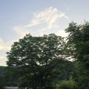 더대청호 이미지