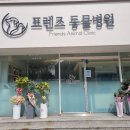 프렌즈동물병원 | 청주 율량동 프렌즈동물병원개원 방문후기