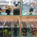 비즈아쿠아수족관 이미지