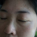 자연담은연구소