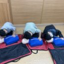 고헌초교 네이버블로그