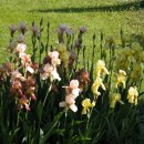 토종농장 이미지