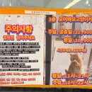 모여봐요 고양이 카페 이미지
