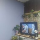 느낌있개 이미지