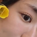 옥정 시네마엠디프라자 | 옥정 속눈썹펌, 뽀아이에서 받고 가닥속눈썹 완성된 후기